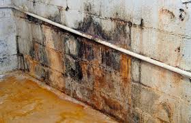 How to stop mold growth in house. Basement Insulation Mistake Be Sure To Avoid This 1 Problem
