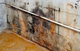 Maybe you would like to learn more about one of these? Basement Insulation Mistake Be Sure To Avoid This 1 Problem