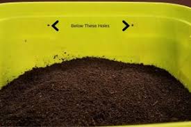 Check spelling or type a new query. How To Store Worm Castings Iowa Worm Composting