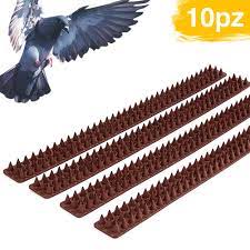 Se ciò non sarà sufficiente passeremo ad altri sistemi più innovativi. Dissuasore Uccelli Colobi 10pz A Punte 5mt Deterrente Kinzo Bakaji