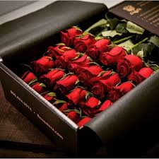 Laybelme Com Love In A Box Totally Infatuated With These Beautiful Rose Flowers Beautiful Roses Red Roses