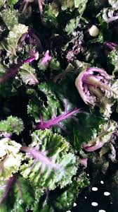 By now you already know that, whatever you are looking for, you're sure to find it on aliexpress. Flower Sprouts Salat Flotte Lotte