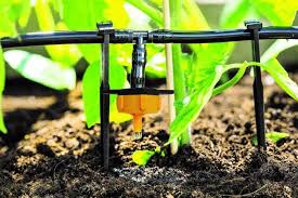Automatische Solar Bewasserungssysteme Esotec Tropfer Bewasserung Bewasserungssystem Bewasserungscomputer