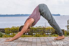 Downward Facing Dog Adho Mukha Svanasana Yoga Poses Advanced Yoga Poses Headstand Poses