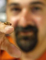 next millennium farmss Archives