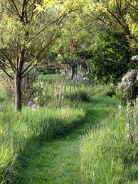 Let An Area Of The Lawn Grow Wild Then Create A Path Through The Tall Grass With A Riding Mower Or W Walkway Landscaping Landscape Design Backyard Landscaping