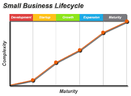 What Are The Stages Of A Business Lifecycle And Its