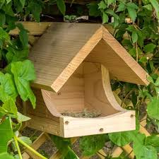 Image result for Flyte Blackbird Nest Box
