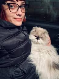 Lost cat in Green Bay area found and adopted