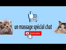 34 replies to cat castiga o asistenta medicala in europa? Un Massage Special Chat Youtube