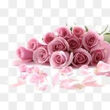 الحب Flower Png Images Flower Graphic Design Free Watercolor Flowers