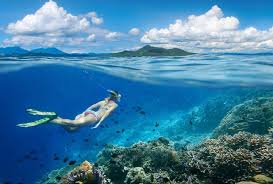 Coral reef safe sunscreen brands canada. 10 Of The Best Sunscreens That Are Safe For The Ocean Huffpost Life