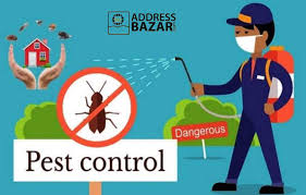 These termites cause billions of dollars in damage each year to homes, historical structures, and commercial buildings. Pest Control Bangladesh Termite Control Pest Control Services Pest Control
