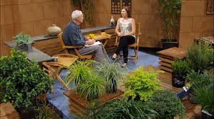 Maybe you would like to learn more about one of these? Evergreen Ideas For Sun Shade Jessica Robertson Central Texas Gardener Youtube