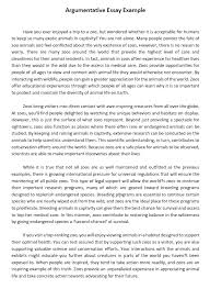 Argumentative Essay Guide To Your Success