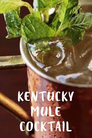 Drinks With A Kick The Kentucky Mule Recipe Brunch Drinks Happy Hour Cocktails Brunch Cocktails