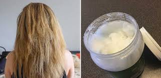 Proteins are your hair's building blocks. I Used Coconut Oil For My Dry Hair Here S What Happened Littlethings Com
