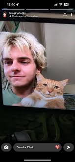 Has anyone seen or heard anything about a missing ginger cat?