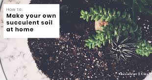 How can one distinguish good soil from a bad one? How To Make Succulent Soil At Home Succulent City