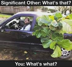 60 Plant Memes For You To Dig Through Plant Jokes Gardening Memes Gardening Humor