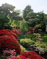 Azaleas Picture Of Shofuso Japanese House And Garden Philadelphia Tripadvisor