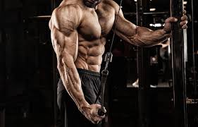 Are you looking for stronger, more defined arms — the type of arms you can show off? 10 Best Tricep Exercises For Men Man Of Many
