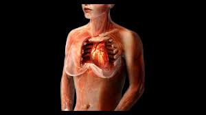 Image result for Chest Trauma