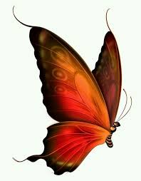 meu sonho butterfly clip art butterfly pictures butterfly painting