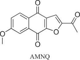 Image result for Ptycholobium contortum
