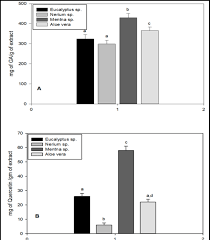 Image result for Menisorus pauciflorus