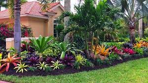 25 Cheap Florida Backyard Landscape Ideas And Designs For 2021 In 2021 Tropical Backyard Landscaping Florida Landscaping Tropical Garden Design