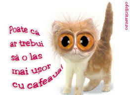 Nimeni pe aceasta lume, nu te iubeste precul mama ta! Mai Usor Cu Cafeaua