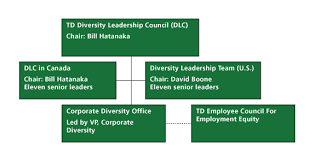 diversity governance