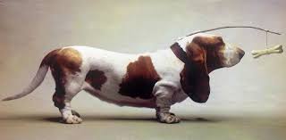 basset shenki sobaki sobaki i shenki