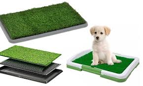 Je veux trouver du matériel et équipements pour mes animaux pas cher ici fabriquer enclos pour chien. Jusqu A 37 Litiere Herbe Synthetique Chien Groupon