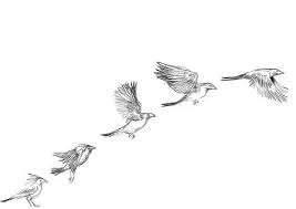 Bird In Flight Line Drawing Bird Drawings Sketches Birds Bird Drawing Pencil Sketch Art Dessin Oiseau Croquis D Oiseaux Oiseau En Vol