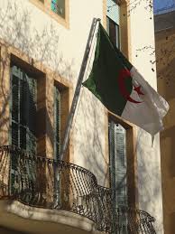 Check spelling or type a new query. Diaspora Algerienne Wikipedia