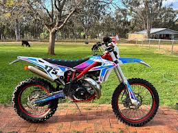 Profil untuk Daniel Williams Thoroughbreds