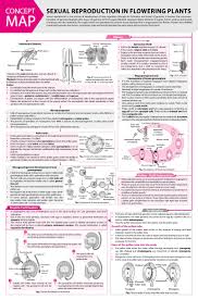 Pin On Biology Notes Neet