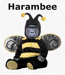 Harambism Bee Costume For Baby Boy Png Transparent Harambe Free Transparent Png Images Pngaaa Com