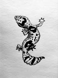 Black And White Leopard Gecko Drawing Pin On Tattoos