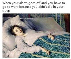 15 Animal Memes That Will Make Your Day So Much Better memes jokes funny  humor  Memes