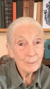 Echo Johnson Keller (@echo.keller) • Facebook