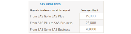 Sas Eurobonus Program Review