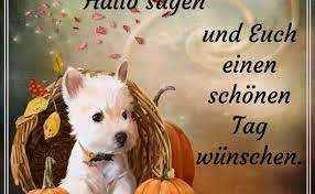 Mit uns hast du dazu deinen idealen lernbegleiter gefunden! Guten Morgen Schonen Tag Bilder Bilder Und Spruche Fur Whatsapp Und Facebook Kostenlos