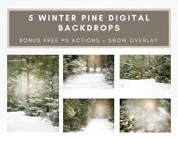5 Winter Snowy Pine Digital Backdrops Bundle Etsy Digital Backdrops Backdrops Christmas Photo Booth