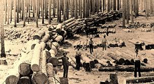 And we still offer the best quality building products. Aldridge Sawmill Logging In The Piney Woods