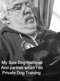 Private Dog Training with My Partner Hartwell
