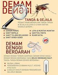 Nyamuk ini mewabahkan virus ke dalam tubuh manusia yang digigit. Demam Sakit Sendi