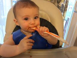 Need healthy breakfast ideas for my 12 month old. We started baby led  weaning pretty late because I was terrified of choking but he wouldn't eat  baby food. He won't eat oatmeal,